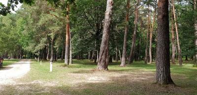 Local commercial - 96 660 m² - 10 pièces