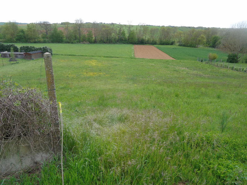 Terrain constructible - 1 000 m²