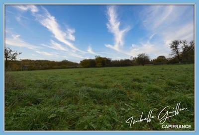 Terrain constructible - 5 560 m²