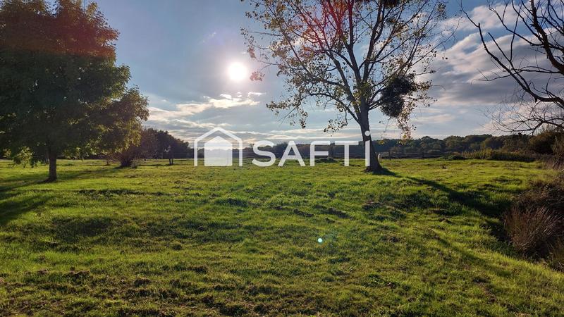 Maison - 311 m² - 14 pièces