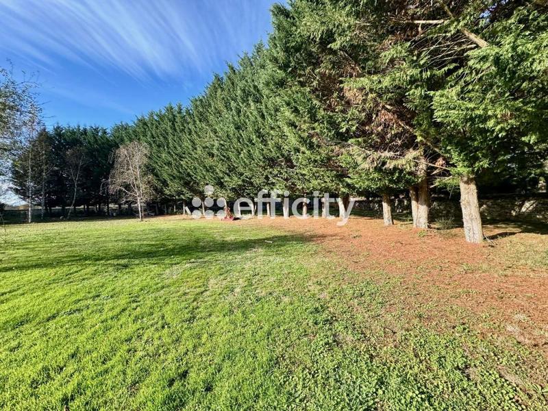 Demeure - 342 m² - 8 pièces