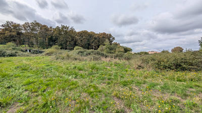 Terrain - 7 053 m²