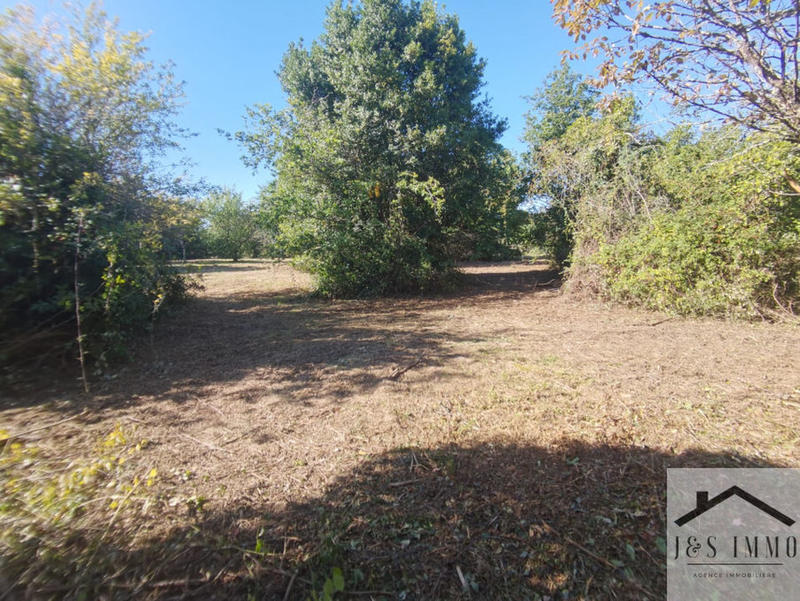 Maison en pierre - 158 m² - 4 pièces