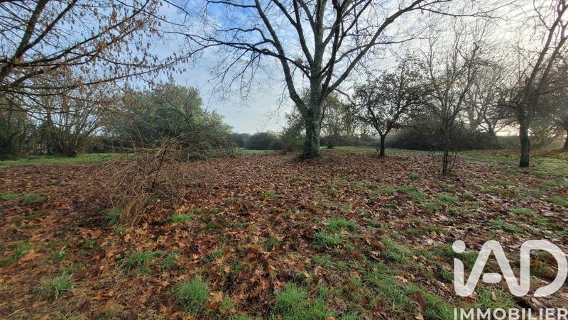 Maison de campagne - 110 m² - 6 pièces