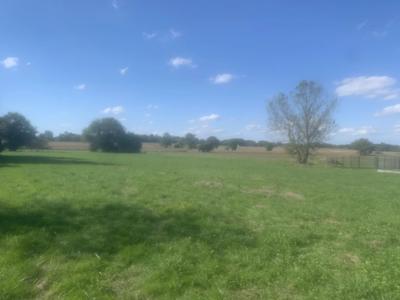 Terrain constructible - 5 000 m²