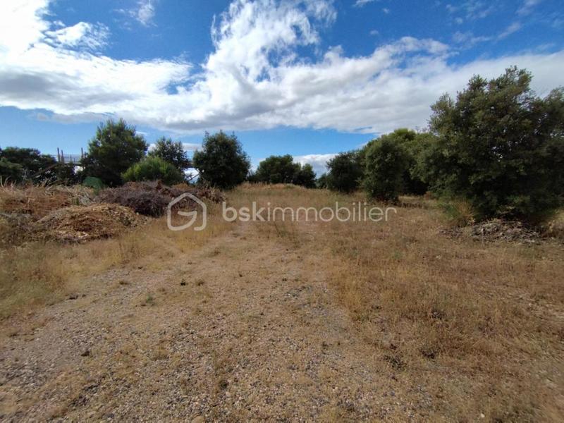 Propriété - 305 m² - 10 pièces