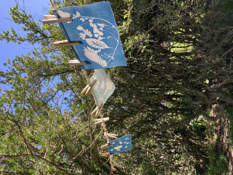 Les Ateliers de la Cabane : Découverte du Cyanotype