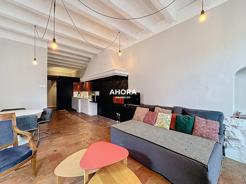 Appartement - 55 m² - 2 pièces