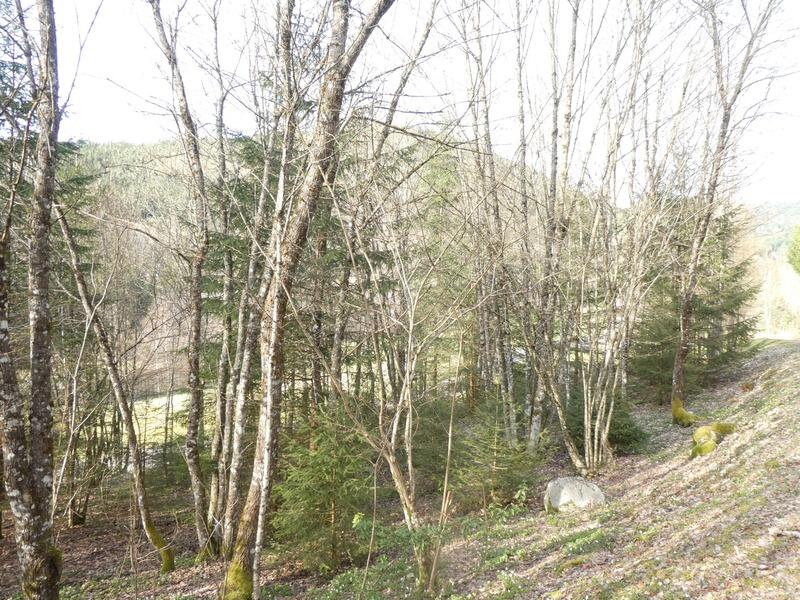 Châlet - 65 m² - 5 pièces