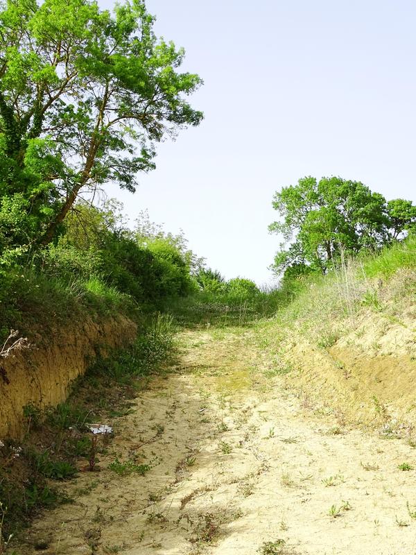 Terrain constructible - 1 400 m²