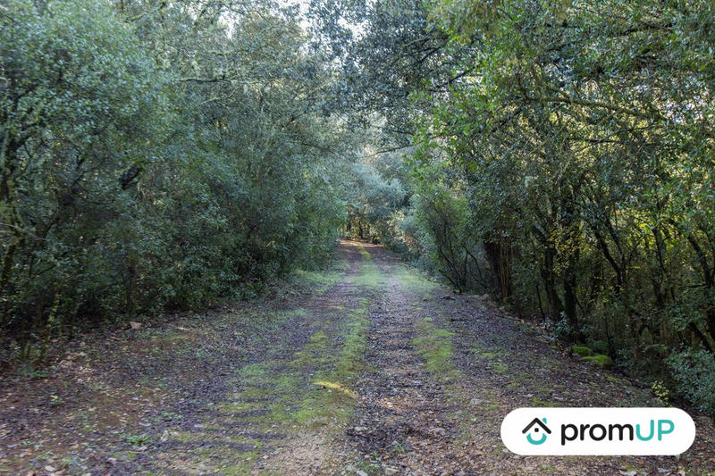 Terrain agricole - 9 625 m²