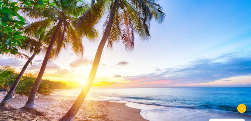 Appartement - 31 m² - 2 pièces