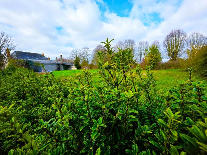 Maison - 175 m² - 6 pièces