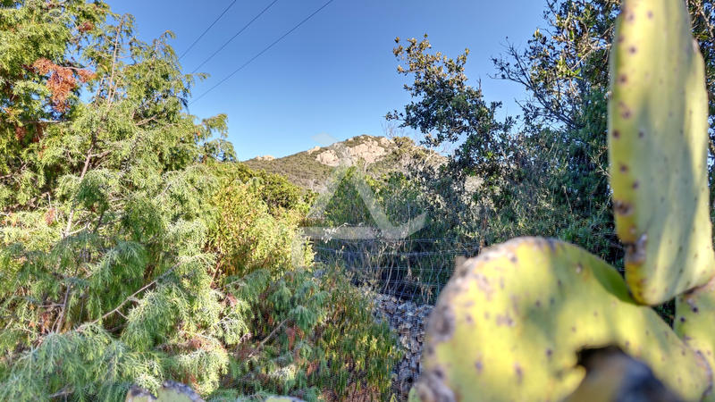 Maison - 235 m² - 7 pièces