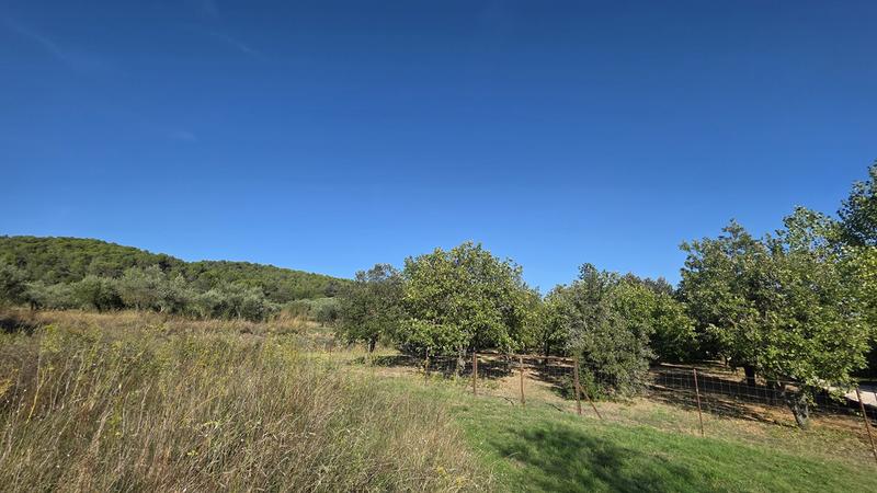 Terrain - 1 490 m²