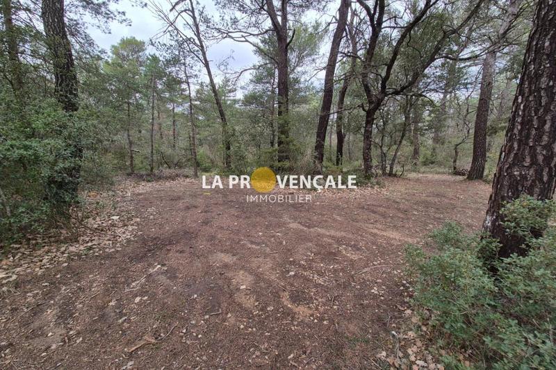 Terrain de loisirs - 2 315 m²