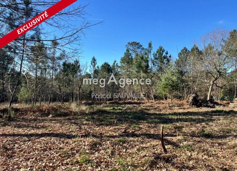 Terrain constructible - 1 124 m²