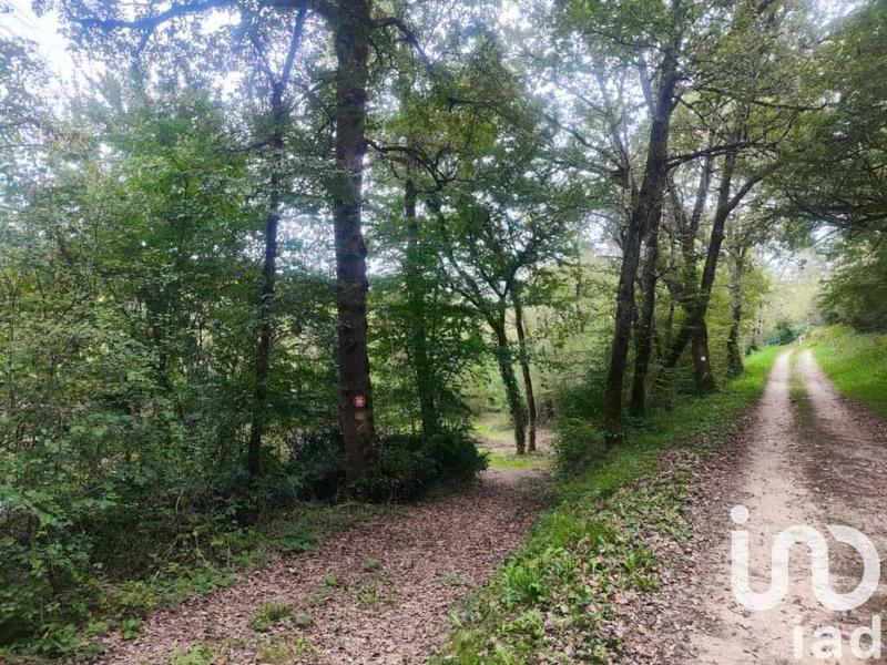 Maison - 159 m² - 5 pièces