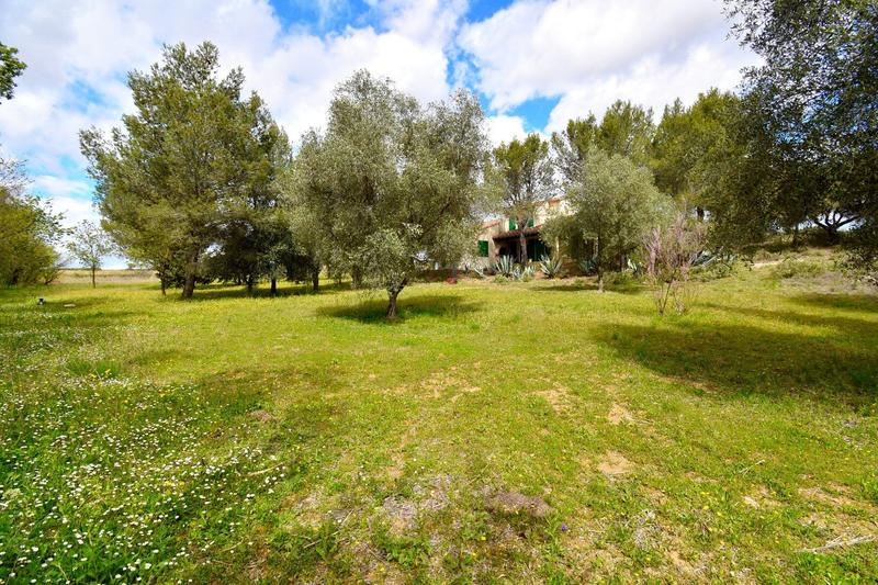 Maison - 186 m² - 11 pièces