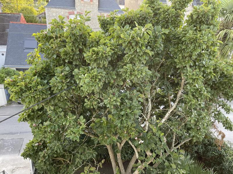 Maison - 191 m² - 9 pièces