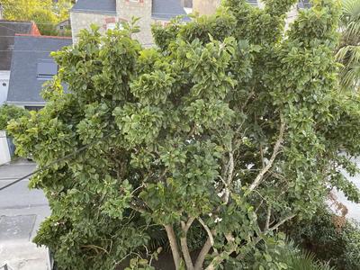 Maison - 191 m² - 9 pièces