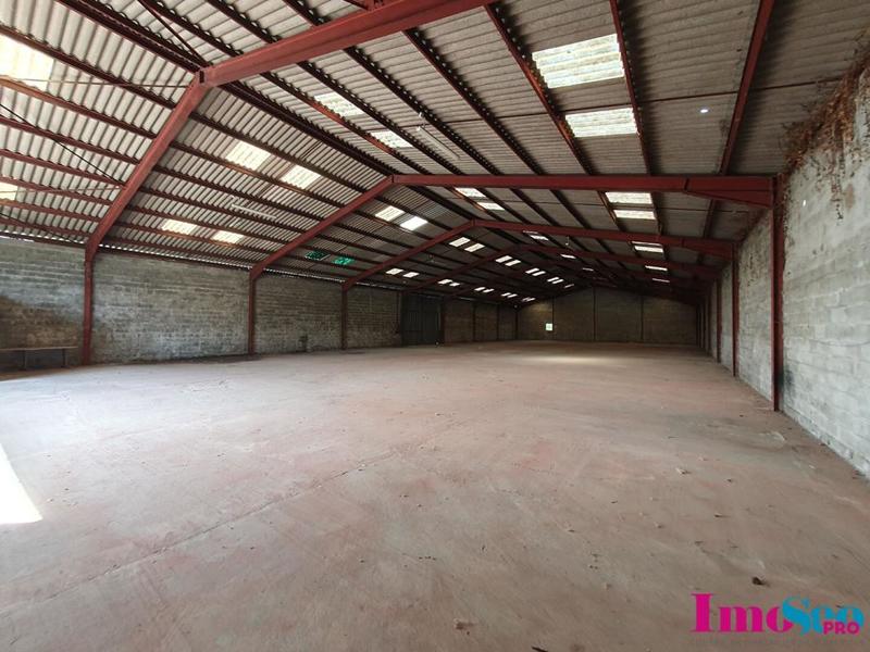 Local d'activité / Entrepôt - 1 000 m²