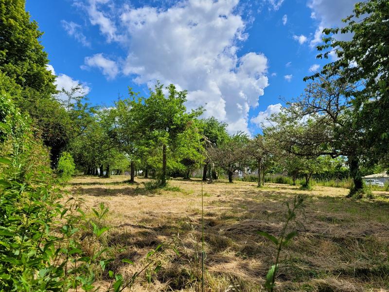 Maison ancienne - 184 m² - 6 pièces