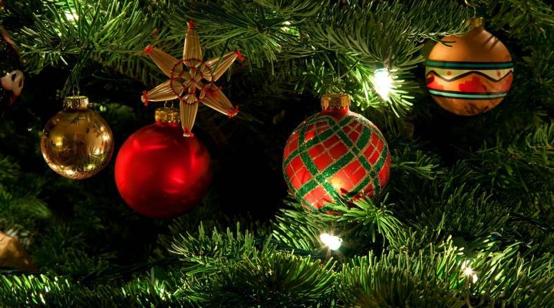 Quinzaine commerciale de Noël : Balades en calèche