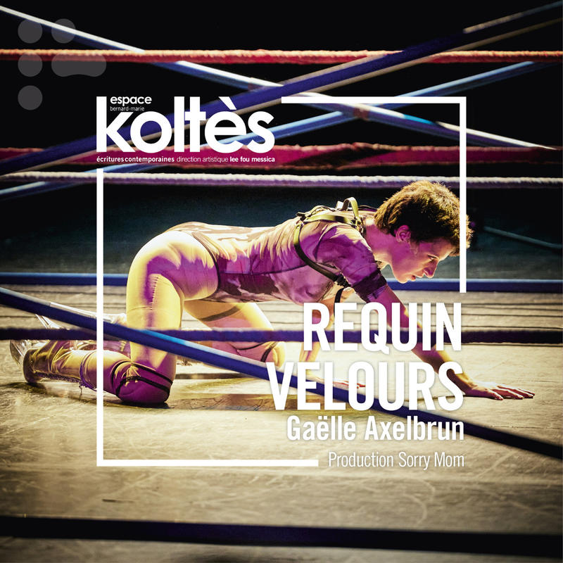 Théâtre - requin velours