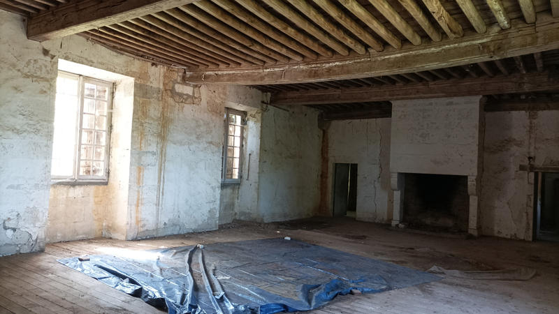 Château - 700 m² - 14 pièces