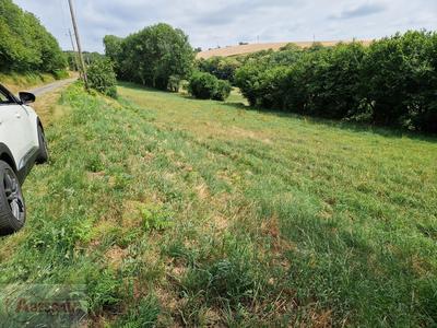 Terrain constructible - 4 700 m²