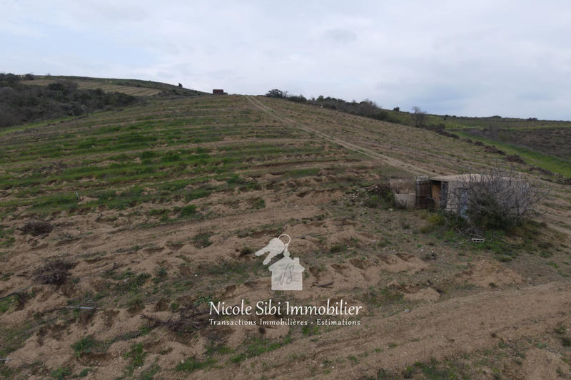 Terrain agricole - 40 428 m²