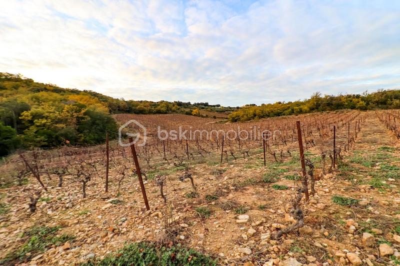 Terrain agricole - 41 775 m²