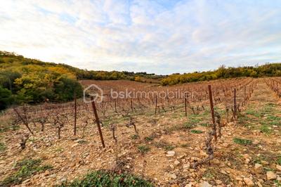 Terrain agricole - 41 775 m²