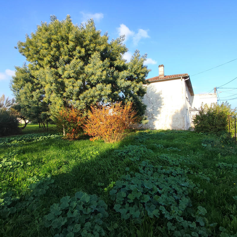 Maison - 142 m² - 5 pièces