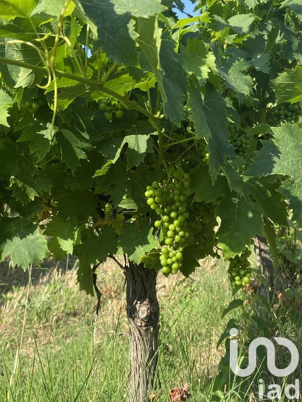 Terrain agricole - 105 426 m²