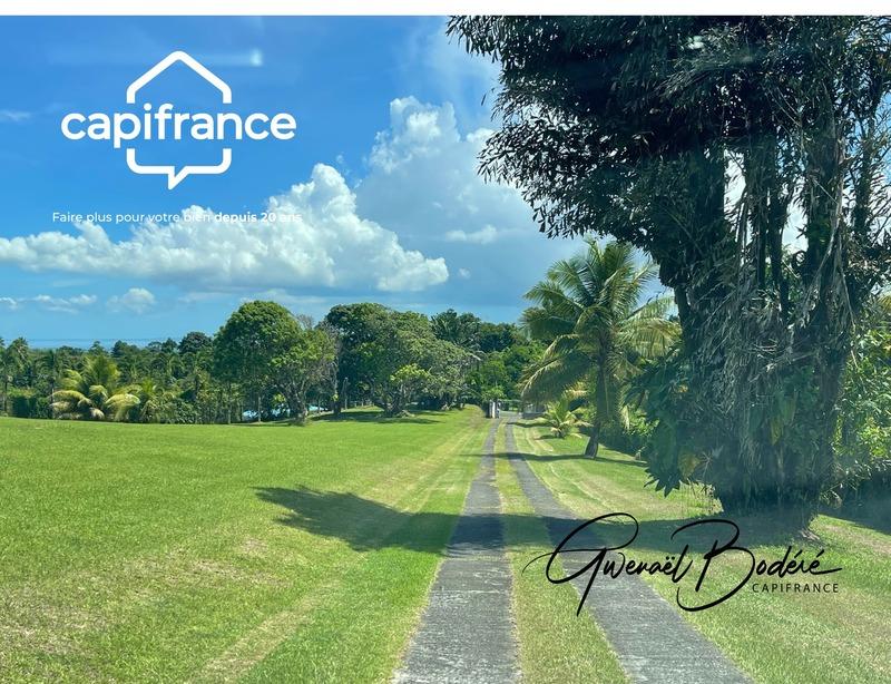 Terrain constructible - 1 145 m²