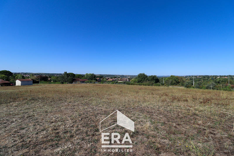 Terrain - 11 859 m²