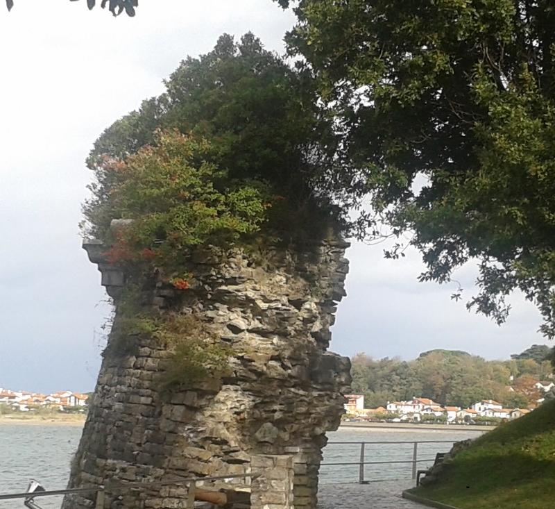 Visite "Le vieux fort de Hendaye à travers ses vestiges"