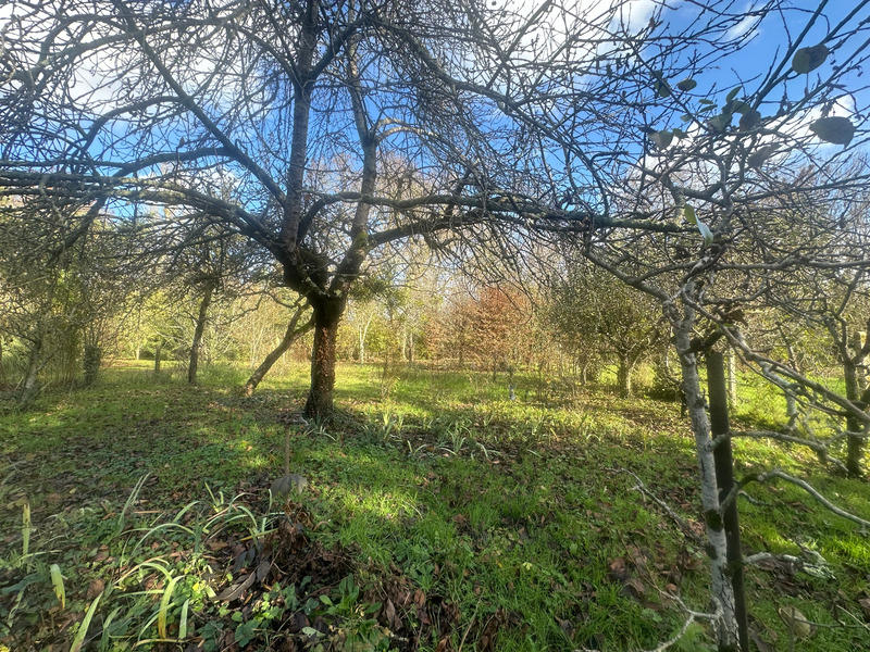 Maison en pierre - 93 m² - 5 pièces