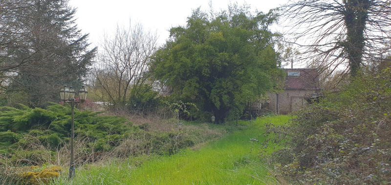 Propriété - 160 m² - 5 pièces