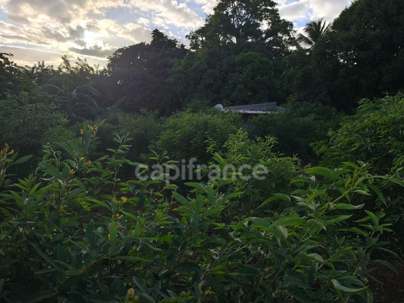 Terrain constructible - 1 043 m²