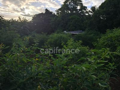 Terrain constructible - 1 043 m²