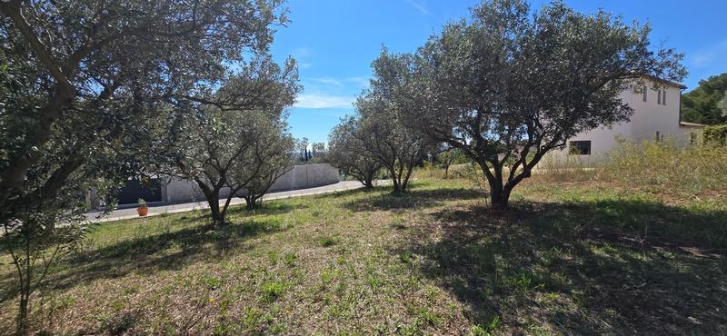 Terrain constructible - 764 m²