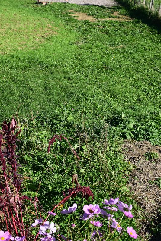 Terrain constructible - 496 m²