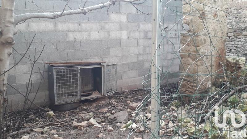 Maison - 65 m² - 2 pièces