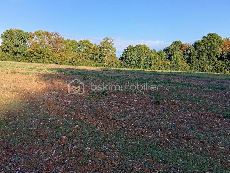 Terrain agricole - 19 960 m²