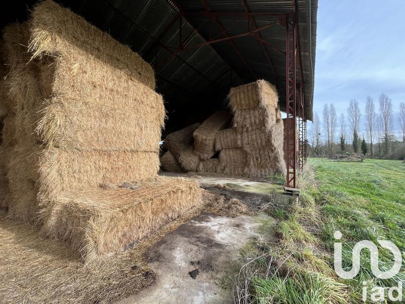 Terrain agricole - 4 190 m²