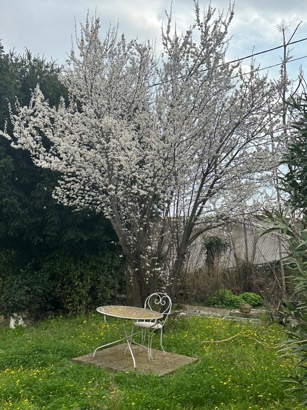 Maison en pierre - 130 m² - 5 pièces