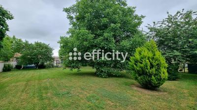 Maison - 235 m² - 8 pièces